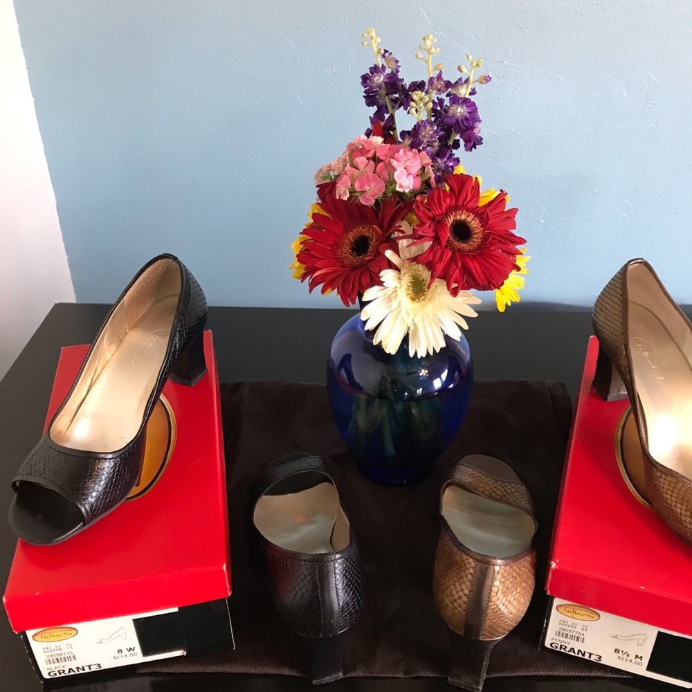 Penny Grants 3 / Talbots open-toe pumps